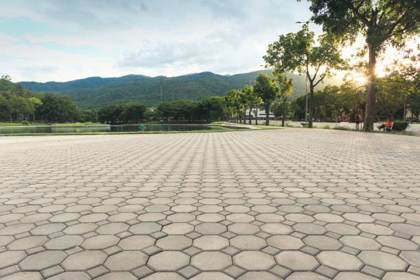Best Best Driveway Pavers  in South Houston, TX
